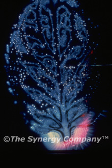 Kirlian Image